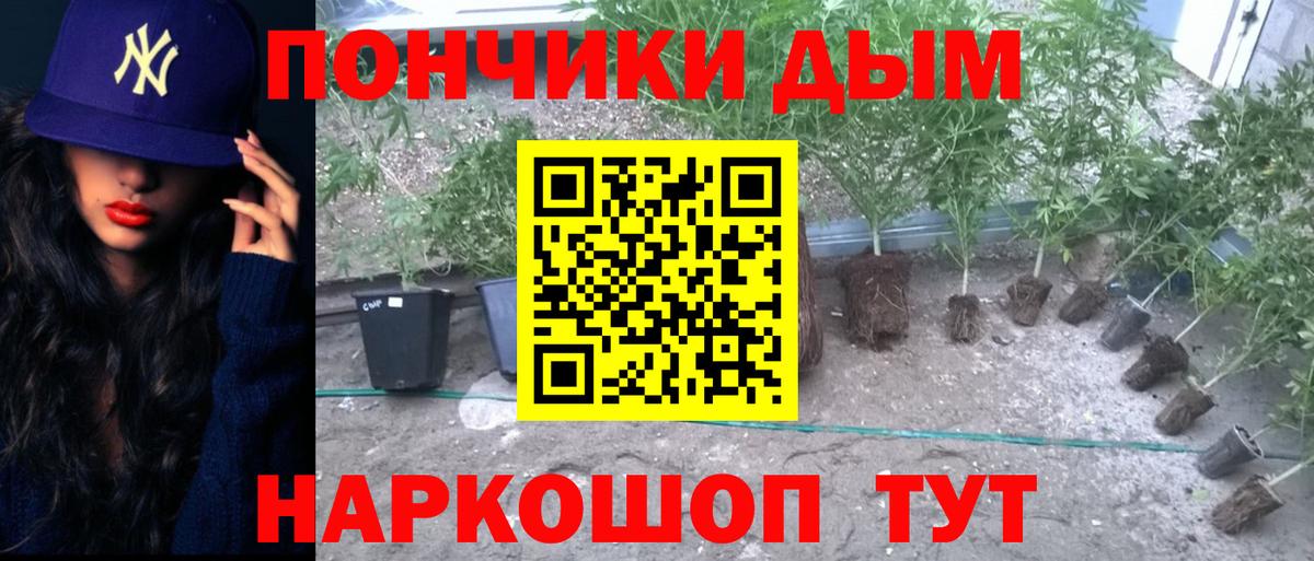 Бошки Шишки тримм Россия